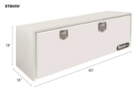 Picture of Buyers Dual Latch Steel Underbody Truck Box