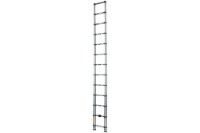 Picture of Xtend+Climb Pro Series Telescoping Ladder