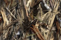 Picture of Tiger Tough 2004-2010 Ford F250-F550 60/40 Bench with Folding Armrest