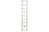 Picture of Xtend+Climb Home Series Telescoping Ladder