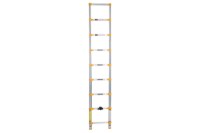 Picture of Xtend+Climb Home Series Telescoping Ladder