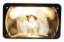 Picture of Whelen Edge Lighthead 12V Clear Halogen 400 Series