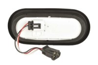 Picture of Federal Signal 6" Oval LED Reverse Light