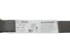 Picture of All-Grip Tie Down Strap w/ Chain Ratchets