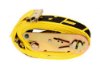 Picture of Ancra 2" Heavy Duty Ratchet Tie Down Assembly w/ Spring E Fitting