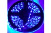 Picture of Race Sport 5050 LED Custom Tape Strip Reel