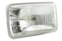 Picture of Edison 37.5 Watt 3.5" x 6" Clear Flood Light