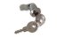 Picture of Tri-Mark Cylinder Lock and Key