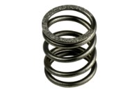 Picture of Ramsey 4 Ton Hydraulic Winch Spring