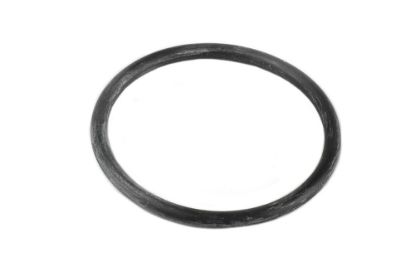 Picture of Ramsey Winch Replacement O-Ring 15k Air Shift