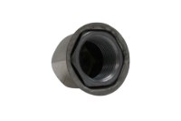 Picture of Phoenix Lugnut Cover w/ Jam Nut