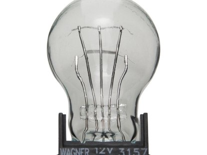 Picture of Napa Mini Clear Bulb