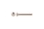 Picture of Phoenix Carriage Bolt 1/4" 20 x 1/2"
