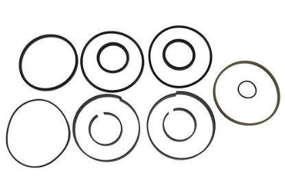 Picture of Seal Kit,Boom Lift