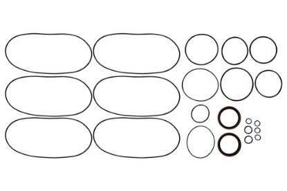 Picture of Seal Kit  Dp55314