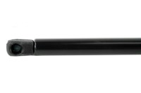 Picture of Buyers Products 60 PSI Gas Strut - 12"