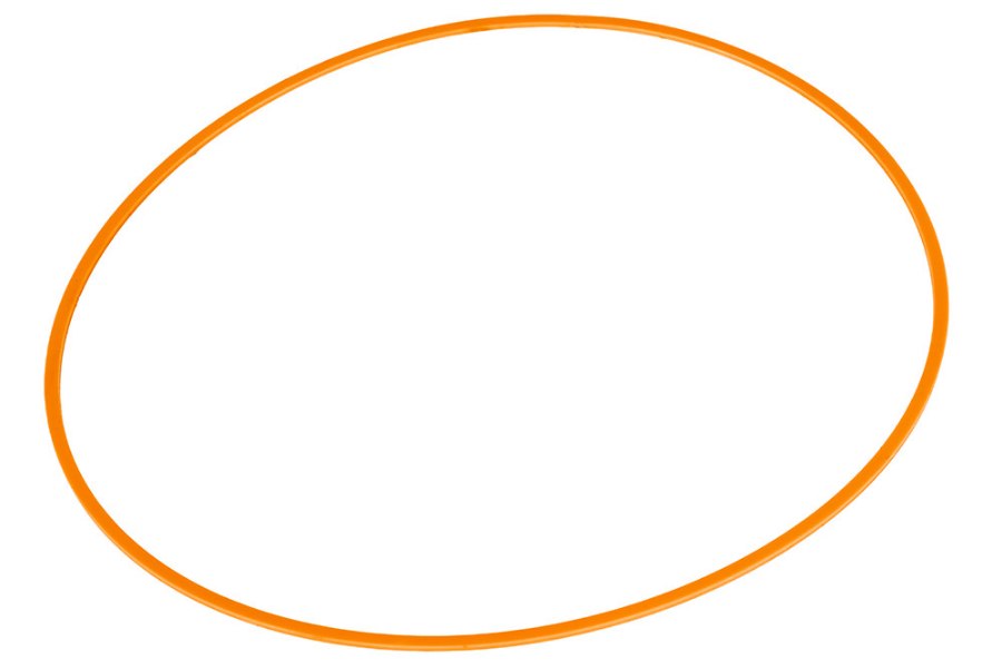 Picture of Ring-Back-Up,Verco #1750-259