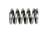 Picture of Miller SPRING, H-400