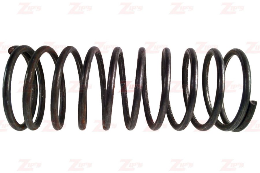 Picture of Spring, Plunger