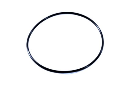 Picture of Replacement Filter O-Ring