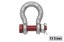 Picture of Crosby Anchor Shackle Bolt Style