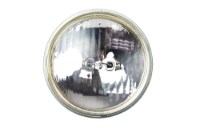 Picture of Edison Light Bulb