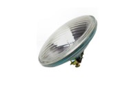 Picture of Edison Light Bulb