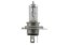 Picture of Hella + 50 H4 Series Bulb