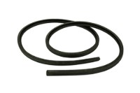 Picture of 3/16 Trim-Lok W/Bulb