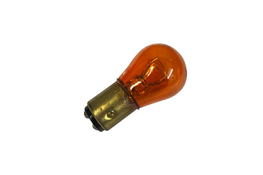 Picture of Edison Light Bulb