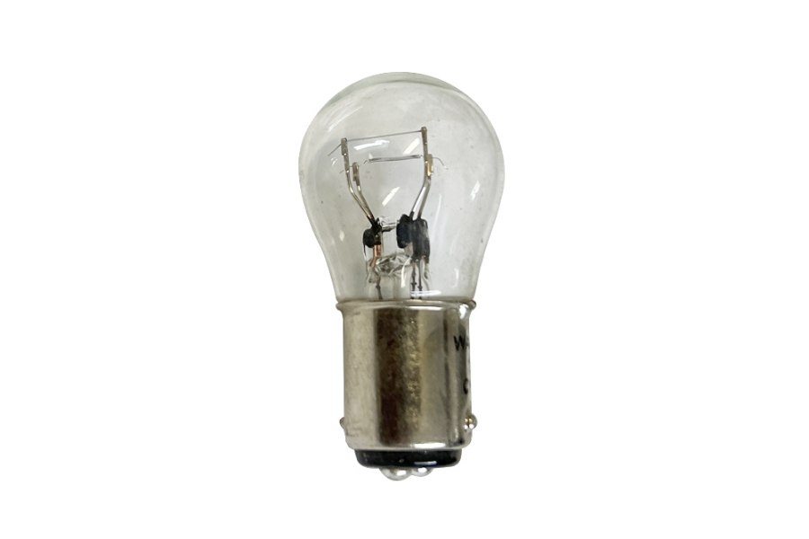 Picture of Edison Light Bulb