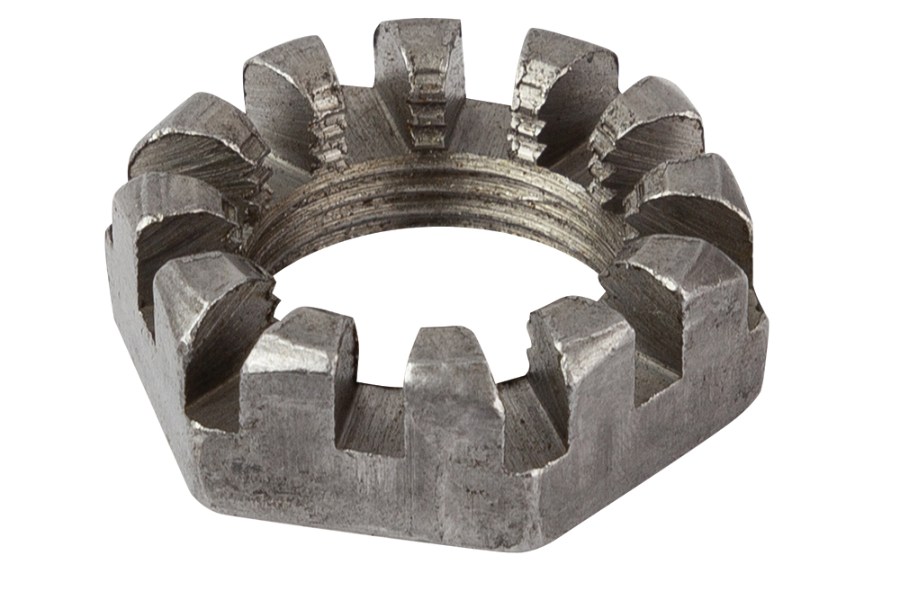 Picture of Collins Castle Nut